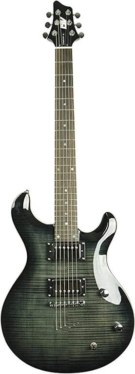 ivy 6 String IYV IP-350 TBK PRS Solid-Body Electric Guitar, Trans Black