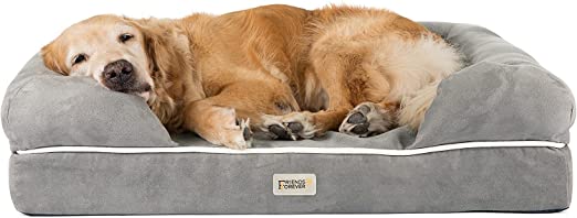 Friends Forever Orthopedic Dog Bed Lounge Sofa Removable Cover 100% Suede Mattress Memory-Foam with Bolster Rim Premium Prestige Edition
