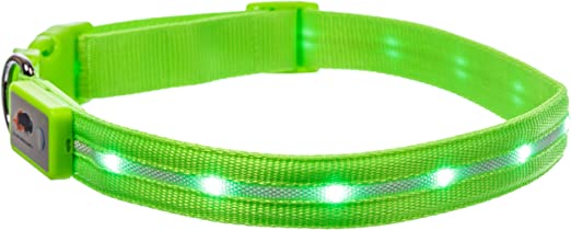 Blazin' Safety Led Dog Collar USB Rechargeable with Water Resistant Flashing Light, Small, Green