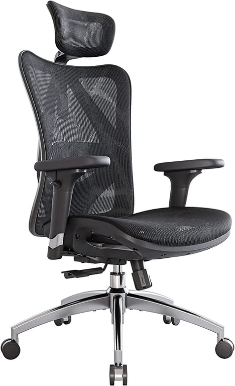 Sihoo M57 Ergonomic Office Chair, Computer Chair Desk Chair High Back Chair Breathable,3D Armrest and Lumbar Support