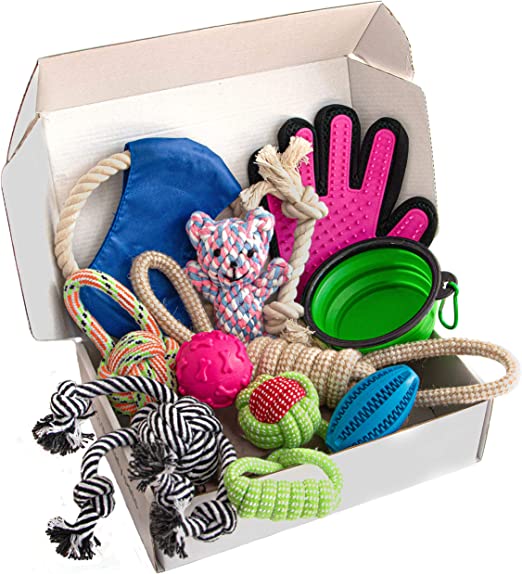 Zenify Puppy Dog Toys Gift Box - Pet Interactive Dog Rope Toy Starter Set - Tug Cotton Fetch Ball Rubber Training Puppies Play Grooming Glove Portable Travel Bowl