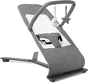 Baby Delight Alpine Deluxe Portable Bouncer, Infant, 0 – 6 Months, Charcoal Tweed
