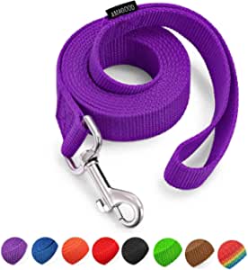 AMAGOOD 1.8M(6 FT) Puppy/Dog Leash, Strong and Durable Traditional Style Leash with Easy to Use Collar Hook,Dog Lead Great for Small and Medium and Large Dog(1" X 6 Feet, Purple)