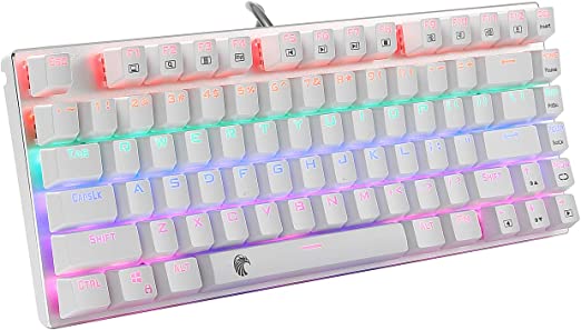 HUO JI 60% Mechanical Gaming Keyboard, E-Yooso Z-88 with Red Switches, Rainbow LED Backlit, Compact 81 Keys Hot Swappable, Silver and White