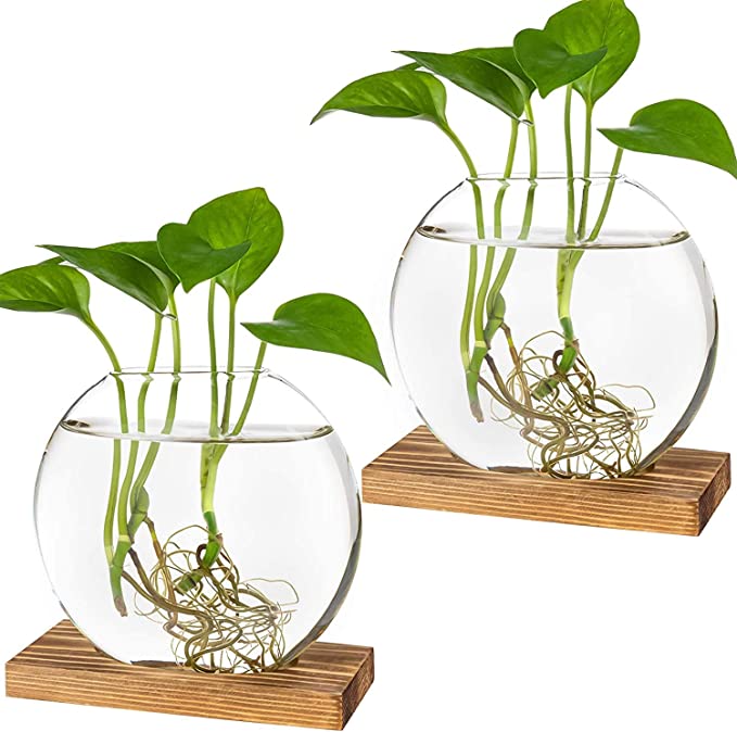 Kingbuy Desktop Round Glass Planter Terrarium Flower Vase with Wooden Stand for Propagation Small Hydroponic Plants Home Office Decor, 2 Pack, Brown