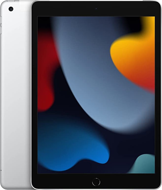 2021 Apple iPad (10.2-inch iPad Wi-Fi + Cellular, 256GB) - Silver (9th Generation)