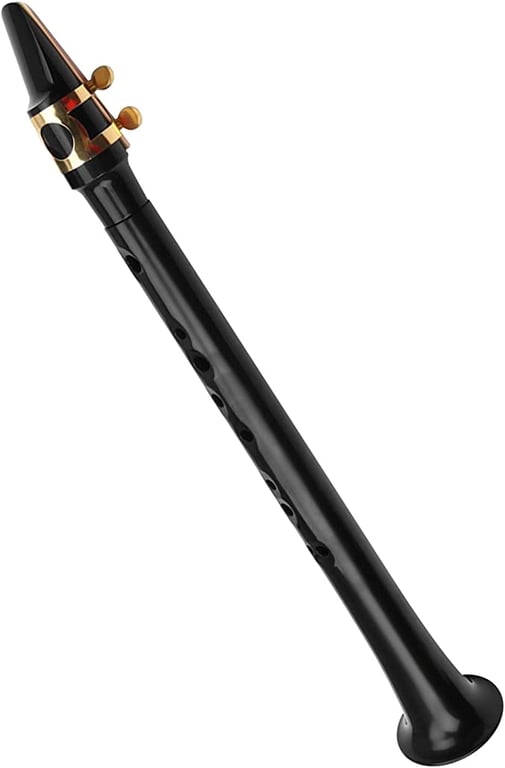 Black Pocket Sax Portable Mini Saxophone Key of C Little Plastic Saxophone with Carrying Bag Woodwind Instrument LAOQIAN